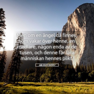 Picture 05 - Job 33:23 SV1917 - Men om en ängel då finnes, som vakar över - Bible Verse Picture