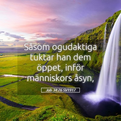Picture 05 - Job 34:26 SV1917 - Såsom ogudaktiga tuktar han dem öppet, inför - Bible Verse Picture