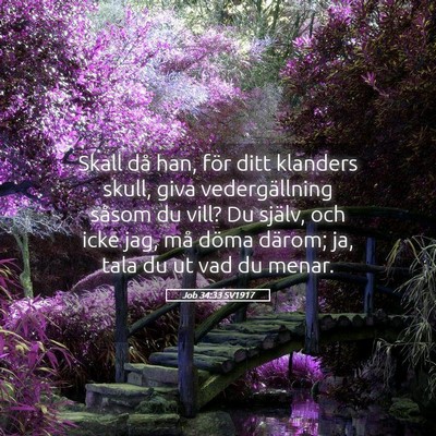 Picture 05 - Job 34:33 SV1917 - Skall då han, för ditt klanders skull, giva - Bible Verse Picture