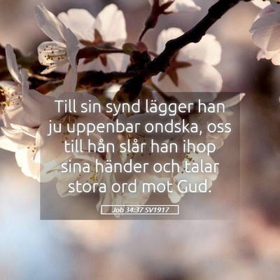 Picture 05 - Job 34:37 SV1917 - Till sin synd lägger han ju uppenbar ondska, oss - Bible Verse Picture