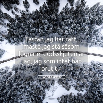 Picture 05 - Job 34:6 SV1917 - Fastän jag har rätt, måste jag stå såsom - Bible Verse Picture