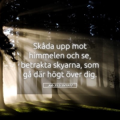 Picture 05 - Job 35:5 SV1917 - Skåda upp mot himmelen och se, betrakta skyarna, - Bible Verse Picture