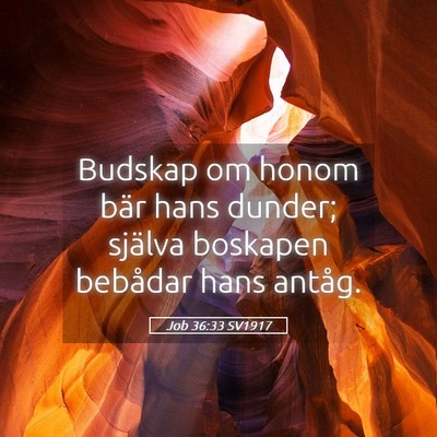 Picture 05 - Job 36:33 SV1917 - Budskap om honom bär hans dunder; själva - Bible Verse Picture