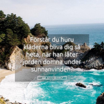 Picture 05 - Job 37:17 SV1917 - Förstår du huru kläderna bliva dig så heta, - Bible Verse Picture
