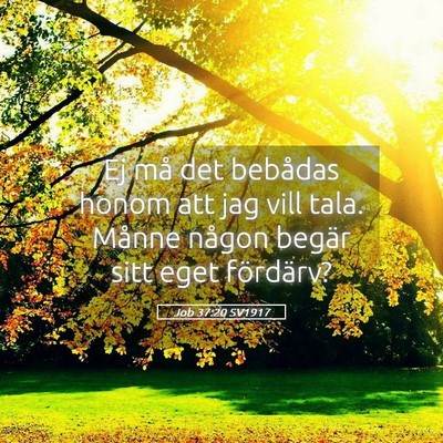 Picture 05 - Job 37:20 SV1917 - Ej må det bebådas honom att jag vill tala. - Bible Verse Picture