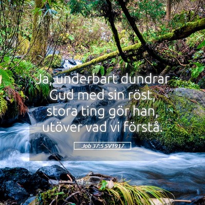 Picture 05 - Job 37:5 SV1917 - Ja, underbart dundrar Gud med sin röst, stora - Bible Verse Picture