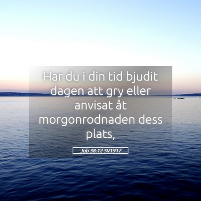 Picture 05 - Job 38:12 SV1917 - Har du i din tid bjudit dagen att gry eller - Bible Verse Picture
