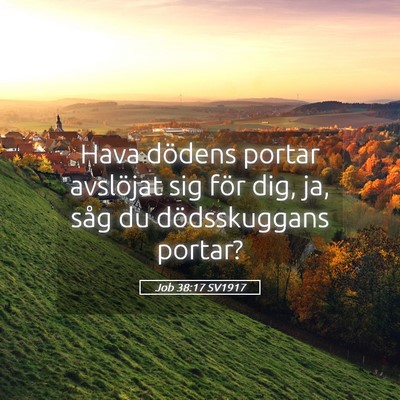 Picture 05 - Job 38:17 SV1917 - Hava dödens portar avslöjat sig för dig, ja, - Bible Verse Picture