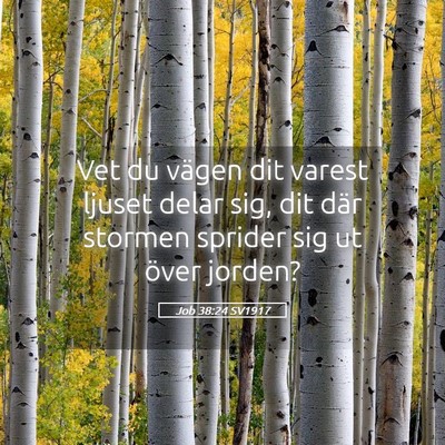 Picture 05 - Job 38:24 SV1917 - Vet du vägen dit varest ljuset delar sig, dit - Bible Verse Picture