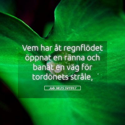 Picture 05 - Job 38:25 SV1917 - Vem har åt regnflödet öppnat en ränna och - Bible Verse Picture