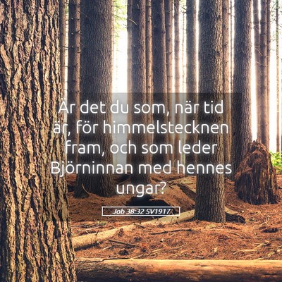 Picture 05 - Job 38:32 SV1917 - Är det du som, när tid är, för himmelstecknen - Bible Verse Picture