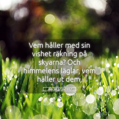 Picture 05 - Job 38:37 SV1917 - Vem håller med sin vishet räkning på skyarna? - Bible Verse Picture