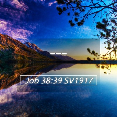 Picture 05 - Job 38:39 SV1917 -  - Bible Verse Picture