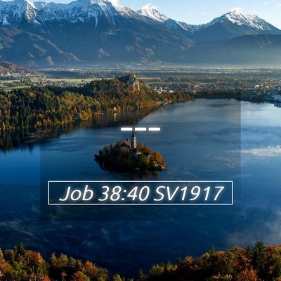 Picture 05 - Job 38:40 SV1917 -  - Bible Verse Picture