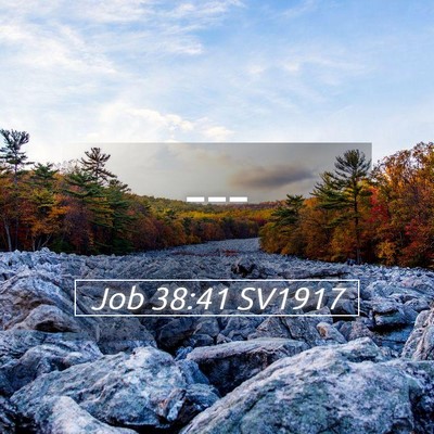 Picture 05 - Job 38:41 SV1917 -  - Bible Verse Picture