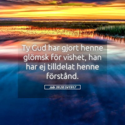 Picture 05 - Job 39:20 SV1917 - Ty Gud har gjort henne glömsk för vishet, han - Bible Verse Picture