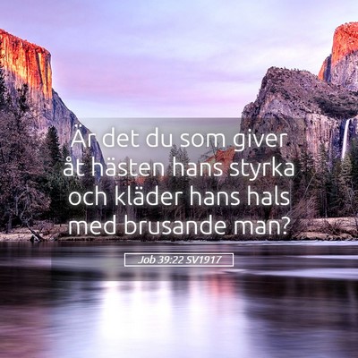 Picture 05 - Job 39:22 SV1917 - Är det du som giver åt hästen hans styrka och - Bible Verse Picture