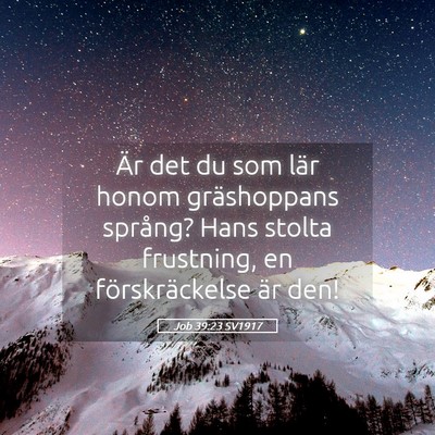 Picture 05 - Job 39:23 SV1917 - Är det du som lär honom gräshoppans språng? - Bible Verse Picture
