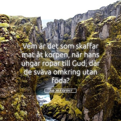 Picture 05 - Job 39:3 SV1917 - Vem är det som skaffar mat åt korpen, när hans - Bible Verse Picture
