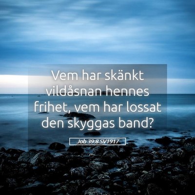 Picture 05 - Job 39:8 SV1917 - Vem har skänkt vildåsnan hennes frihet, vem har - Bible Verse Picture