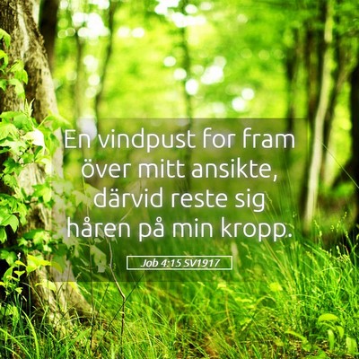 Picture 05 - Job 4:15 SV1917 - En vindpust for fram över mitt ansikte, därvid - Bible Verse Picture