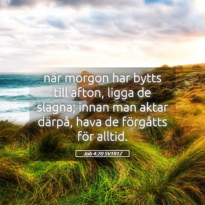 Picture 05 - Job 4:20 SV1917 - när morgon har bytts till afton, ligga de - Bible Verse Picture