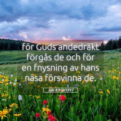 Picture 05 - Job 4:9 SV1917 - för Guds andedräkt förgås de och för en - Bible Verse Picture