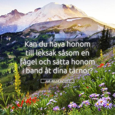 Picture 05 - Job 40:24 SV1917 - Kan du hava honom till leksak såsom en fågel - Bible Verse Picture