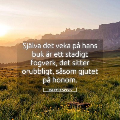 Picture 05 - Job 41:14 SV1917 - Själva det veka på hans buk är ett stadigt - Bible Verse Picture