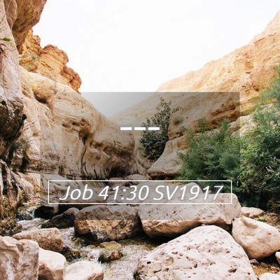 Picture 05 - Job 41:30 SV1917 -  - Bible Verse Picture