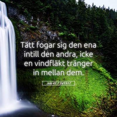 Picture 05 - Job 41:7 SV1917 - Tätt fogar sig den ena intill den andra, icke en - Bible Verse Picture