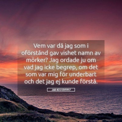 Picture 05 - Job 42:3 SV1917 - Vem var då jag som i oförstånd gav vishet namn - Bible Verse Picture