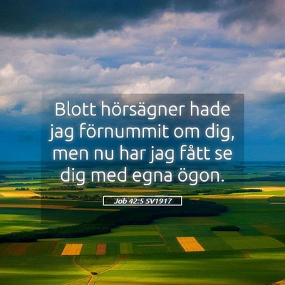 Picture 05 - Job 42:5 SV1917 - Blott hörsägner hade jag förnummit om dig, men - Bible Verse Picture