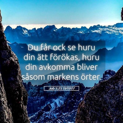 Picture 05 - Job 5:25 SV1917 - Du får ock se huru din ätt förökas, huru din - Bible Verse Picture