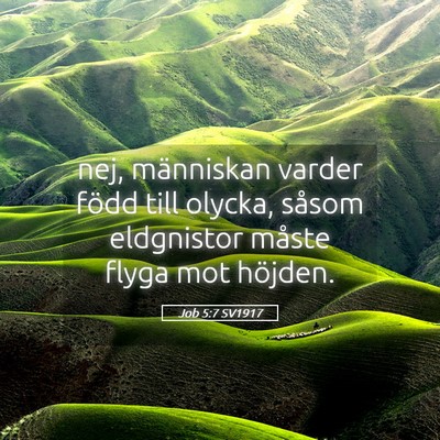 Picture 05 - Job 5:7 SV1917 - nej, människan varder född till olycka, såsom - Bible Verse Picture