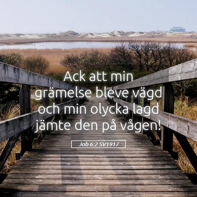 Picture 05 - Job 6:2 SV1917 - Ack att min grämelse bleve vägd och min olycka - Bible Verse Picture