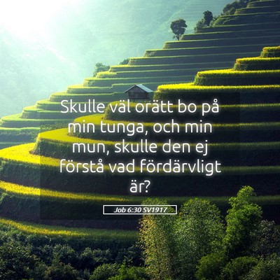 Picture 05 - Job 6:30 SV1917 - Skulle väl orätt bo på min tunga, och min mun, - Bible Verse Picture
