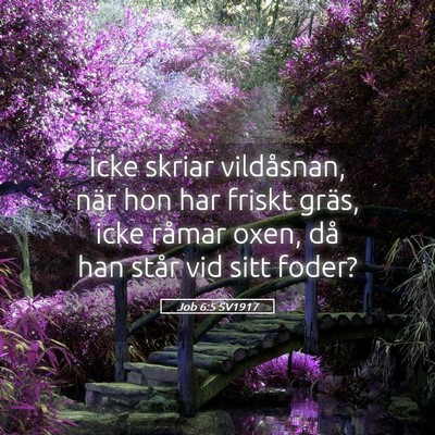 Picture 05 - Job 6:5 SV1917 - Icke skriar vildåsnan, när hon har friskt - Bible Verse Picture