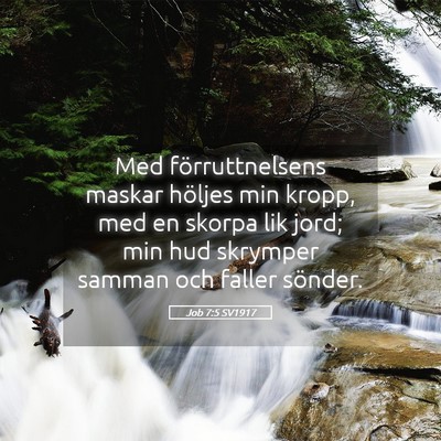Picture 05 - Job 7:5 SV1917 - Med förruttnelsens maskar höljes min kropp, med - Bible Verse Picture