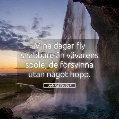Picture 05 - Job 7:6 SV1917 - Mina dagar fly snabbare än vävarens spole; de - Bible Verse Picture