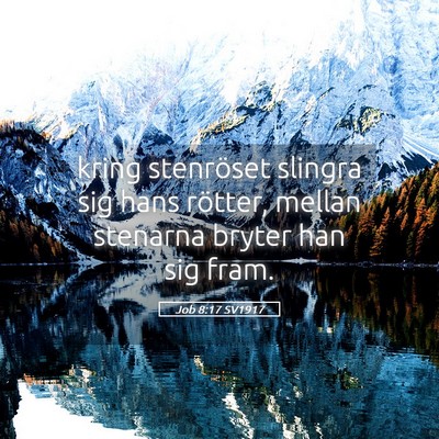 Picture 05 - Job 8:17 SV1917 - kring stenröset slingra sig hans rötter, mellan - Bible Verse Picture