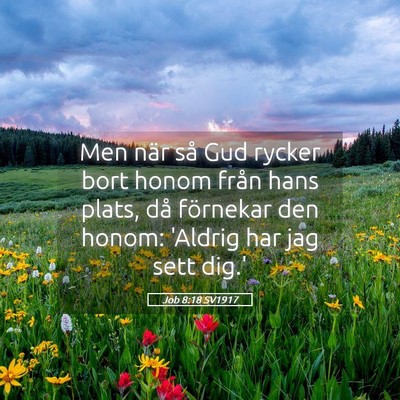Picture 05 - Job 8:18 SV1917 - Men när så Gud rycker bort honom från hans - Bible Verse Picture