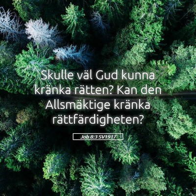 Picture 05 - Job 8:3 SV1917 - Skulle väl Gud kunna kränka rätten? Kan den - Bible Verse Picture