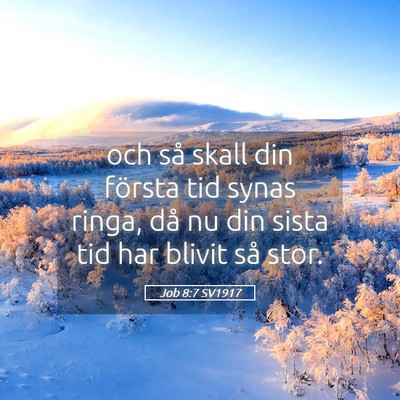 Picture 05 - Job 8:7 SV1917 - och så skall din första tid synas ringa, då nu - Bible Verse Picture