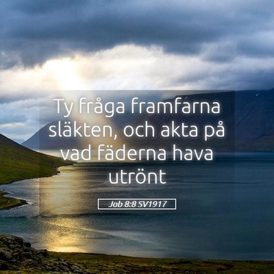 Picture 05 - Job 8:8 SV1917 - Ty fråga framfarna släkten, och akta på vad - Bible Verse Picture