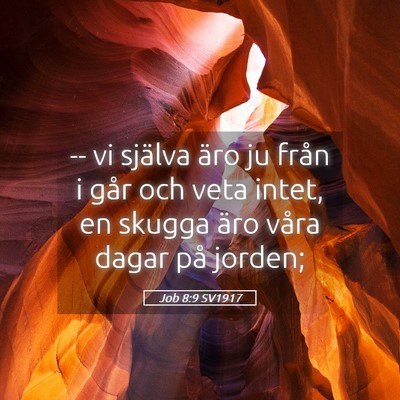 Picture 05 - Job 8:9 SV1917 - -- vi själva äro ju från i går och veta - Bible Verse Picture