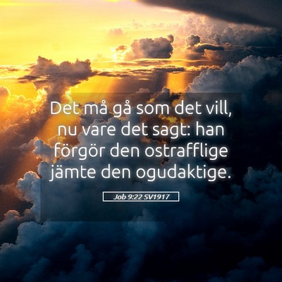 Picture 05 - Job 9:22 SV1917 - Det må gå som det vill, nu vare det sagt: han - Bible Verse Picture