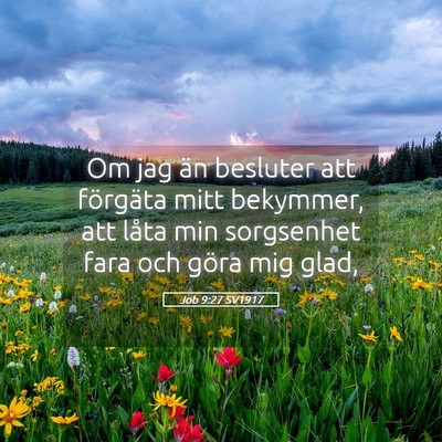 Picture 05 - Job 9:27 SV1917 - Om jag än besluter att förgäta mitt bekymmer, - Bible Verse Picture