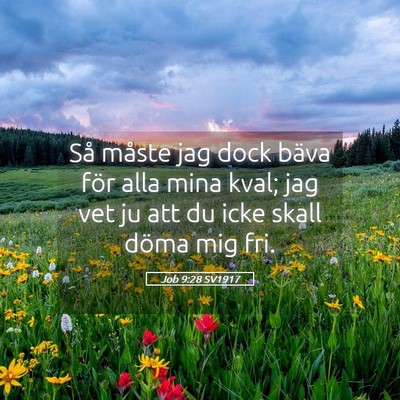 Picture 05 - Job 9:28 SV1917 - Så måste jag dock bäva för alla mina kval; - Bible Verse Picture