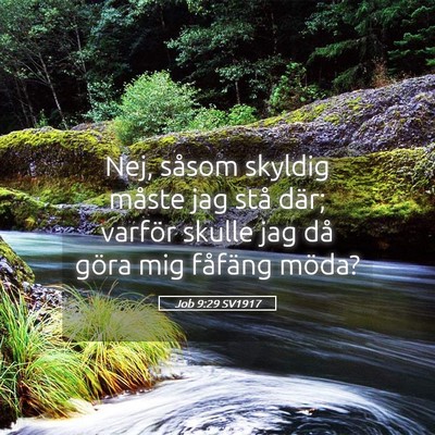 Picture 05 - Job 9:29 SV1917 - Nej, såsom skyldig måste jag stå där; varför - Bible Verse Picture